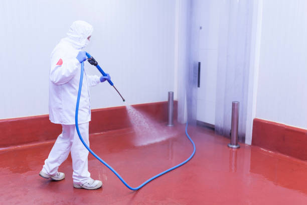 Best Driveway Pressure Washing  in West Hill, OH